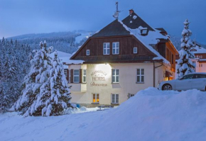 Отель Hotel Domovina  Шпиндлерув Млын
